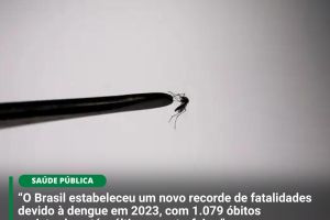 O-Brasil-estabeleceu-um-novo-recorde-de-fatalidades-devido-a-dengue-em-2023-com-1.079-obitos-registrados-ate-a-ultima-quarta-feira-1.jpg